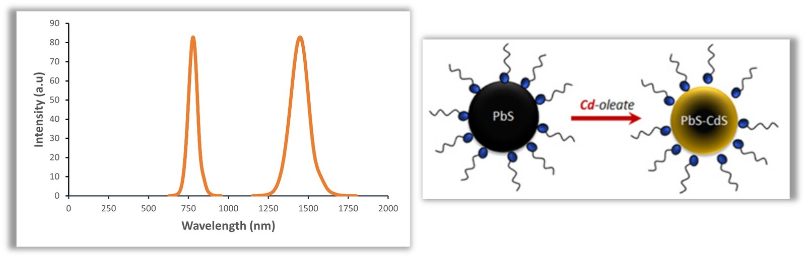 PbS/CdS core/shell quantum dots